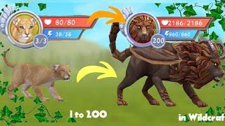 Wildcraft Level 1 to 200 lion