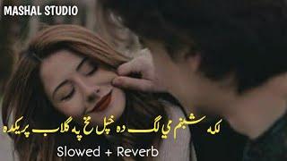 Laka Shabnam Mi Da Khpal Makh Pa Gulab Preda [ Slowed+Reverb ] Pashto New Song