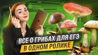 Грибы: вся тема для ЕГЭ по биологии (задания 9,10 и 11) | Умскул