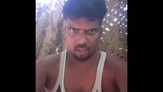 Ravisari