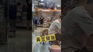 想錢想瘋ㄌ，全家午休竟遇到？！黃金移動ing？！