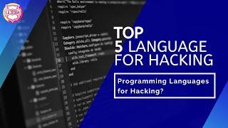 Best Programming Language for Hacking & Why these Programming Languages are important for Hackers?