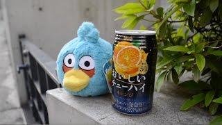 Where's my Chu-Hai?