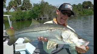 SIGHT-FISHING SNOOK and TARPON