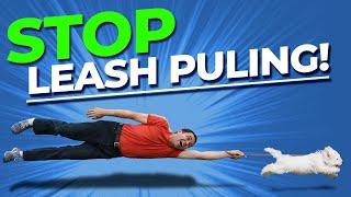 Stop Pulling on the Leash - Doggy Dan's 5-Video Course:  Part 1