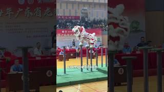 Best Lion Dancers in the World