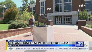 MSU announces new bachelor’s degree in learning, user experience design