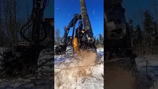 Timber! Logging Machine at Work!