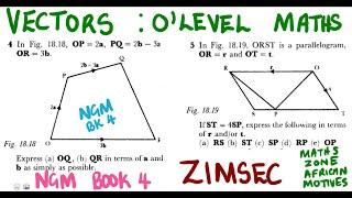 O level Mathematics Vectors NGM BK4 Revision ZIMSEC @mathszoneafricanmotives
