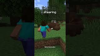 We Added Bears To Minecraft