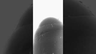 High Altitude Infinite Superzoom#closeup #infinity #loop #transition #microscope #microscopy