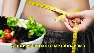 9 ПРИЧИН Замедляющих Метаболизм