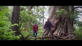 Old-Growth Protection and Sustainable Economic Opportunities