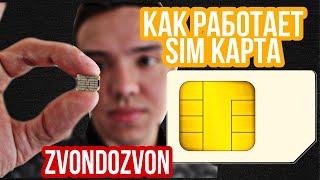 Что такое SIM карта и как она РАБОТАЕТ | Будущее симкарт | Как устроена sim карта