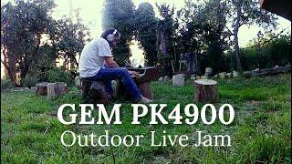 Gem PK4900 - 1980 Mono-Poly Synth Live Jam + Enso Looper/AudioReverb/FacAlteza/NA Analog Delay/AUM