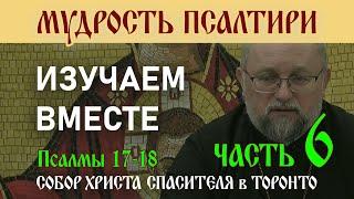 Часть 6. Мудрость Псалтири: Изучаем вместе. Псалмы 17-19