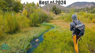 THE BEST FLY FISHING / TROUT FISHING VIDEO! (Best of 2024 - Hardman Fishing Adventures)