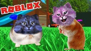 СИМУЛЯТОР ХОМЯКА В РОБЛОКС! ГОРИМ! КОШКА ЛАНА И КОТ ЛЕО ТЕПЕРЬ ХОМЯКИ Hamster Simulator roblox