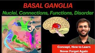 Basal Ganglia | CNS Physiology | Neuroanatomy Video