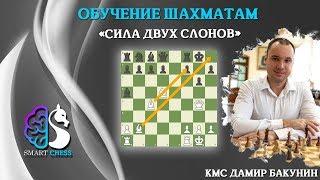 Шахматы / Сила двух слонов / Школа шахмат Smart Chess / КМС Дамир Бакунин