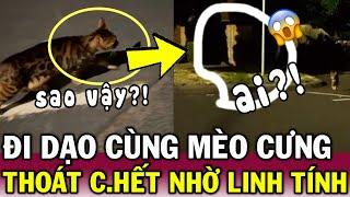 Ly kỳ: Cô gái THOÁT C.HẾT trong gang tấc, nhờ LINH TÍNH của MÈO CƯNG | Tin Việt Độc Lạ