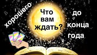 Что вам ждать хорошего ⁉️️️ до конца года ️