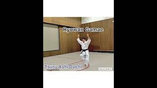 SKO karate WR. Chinte Kata Shotokan Karate
