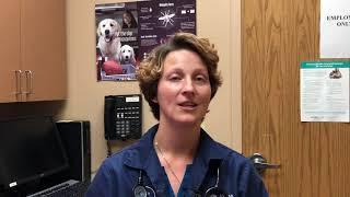 Cotner & Superior Vet Care   Dr  Jody Jones Origin Story