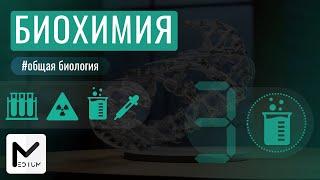 Биохимия клетки / ЕГЭ по биологии