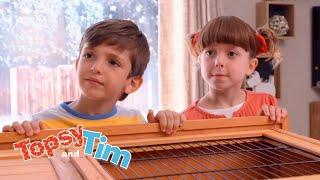 Topsy & Tim 111 - BIG BOX | Full Episodes | Shows for Kids | HD