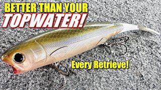 You'll NEVER Need Another Topwater BAIT