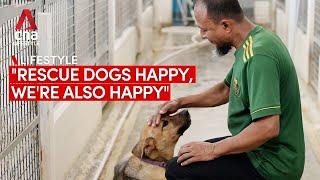 Meet the 2 Bangladeshi workers caring for rescue dogs at a Singapore shelter