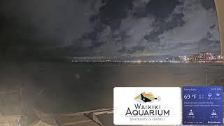 Waikiki Aquarium South Shore Surf Cam