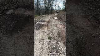 my driveway in the spring