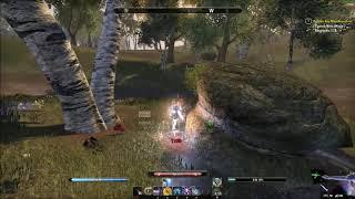 ESO Magicka Sorcerer 1vX  Insane Feeling - Wrathstone