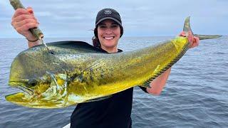 Offshore Fishing in Southern California! (Dorado, Mahi Mahi Catch, Clean and Cook)