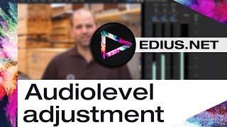 EDIUS.NET Podcast - Audiolevel adjustment