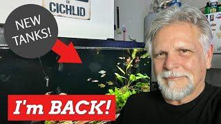 A First Look at Up and Running New Tanks and a Lot More [The Cichlids & Coffee Live Stream!]