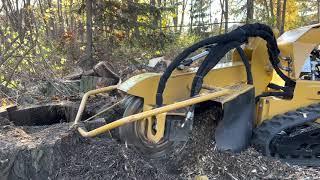 Vermeer SC30TX stump grinder by SKARPA