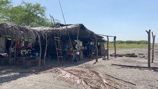 Encontramos Una Humilde Familia Viviendo En Esta Situación ,Pesca Con Arpón