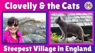 Clovelly & the Cats – Visiting the Steepest Village in England
