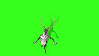 DANCING GREEN SCREEN FOR CHROMAKEY  Грин скрин (green screen effects)  футажи на зелёном фоне