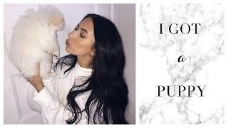 I GOT A PUPPY!! VLOG | Toni Sevdalis