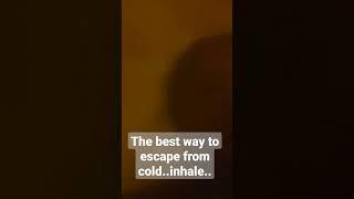 best way to relief from cold...