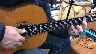 Demo guitarra flamenca Esteve GR08 - Casa Libertella