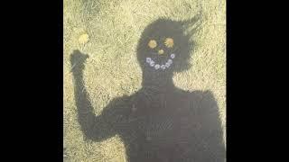 Tyler Mann - Painted Houses