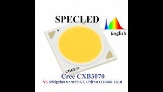 COB Cree CXB3070 VS Cree CXB3590, Bridgelux Vero Gen7, Citizen CLU048 1818. COB for plants.