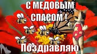 Медовый спас медовый спас пришел ! Поздравления и пожелания с МЕДОВЫМ СПАСОМ