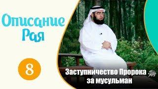 Как будет заступаться Пророкﷺ за мусульман | Описание рая | Хасан аль-Хусейни [№8]