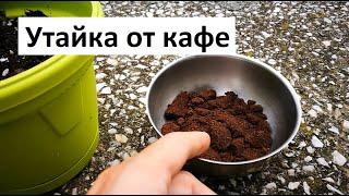 Утайка от кафе